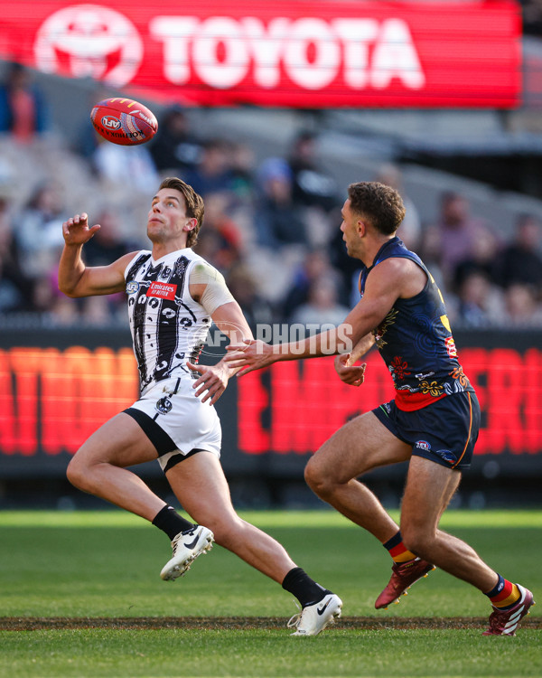 AFL 2024 Round 10 - Collingwood v Kuwarna - A-49457744