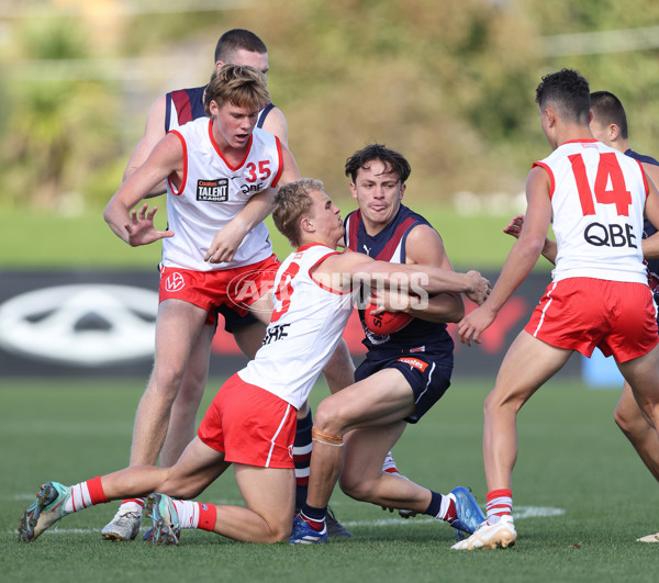 Coates League Boys 2024 Round 08 - Sandringham v Sydney Swans Academy - A-49460592