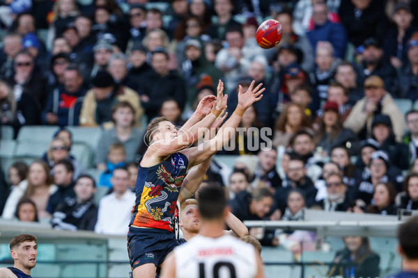 AFL 2024 Round 10 - Collingwood v Kuwarna - A-49460603