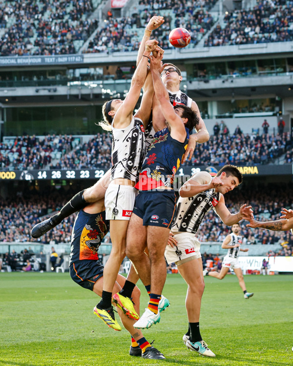 AFL 2024 Round 10 - Collingwood v Kuwarna - A-49462858