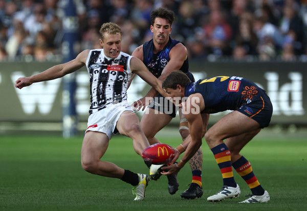 AFL 2024 Round 10 - Collingwood v Kuwarna - A-49462911