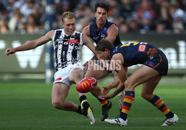 AFL 2024 Round 10 - Collingwood v Kuwarna - A-49462912