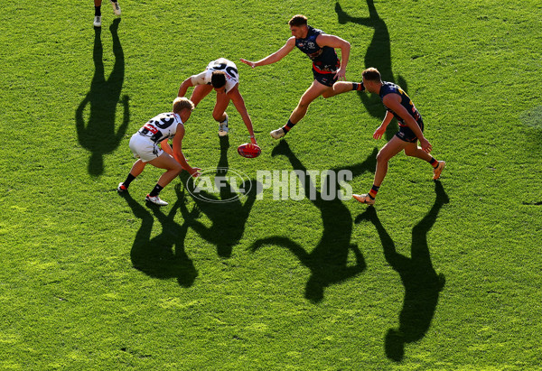 AFL 2024 Round 10 - Collingwood v Kuwarna - A-49463127