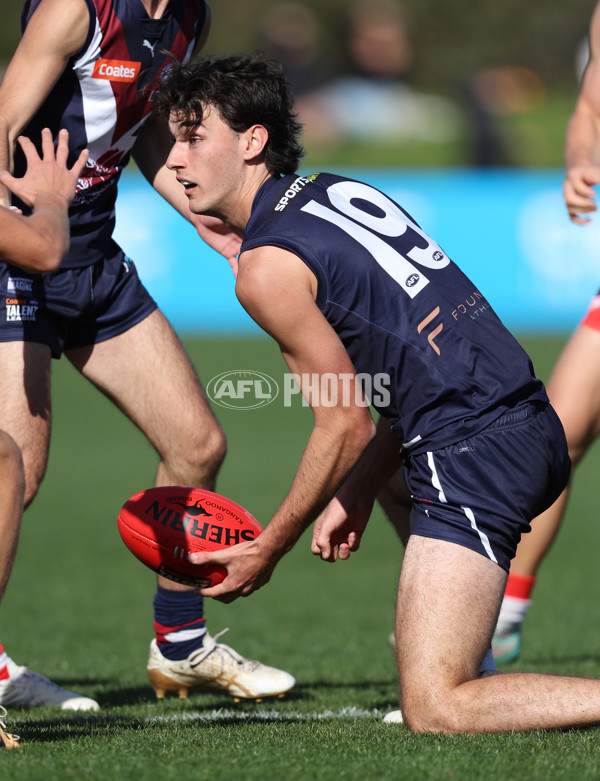 Coates League Boys 2024 Round 08 - Sandringham v Sydney Swans Academy - A-49465525