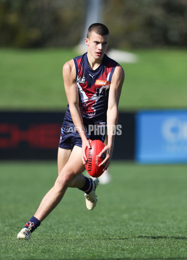 Coates League Boys 2024 Round 08 - Sandringham v Sydney Swans Academy - A-49465785