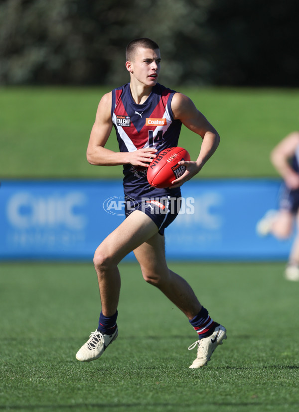 Coates League Boys 2024 Round 08 - Sandringham v Sydney Swans Academy - A-49465791