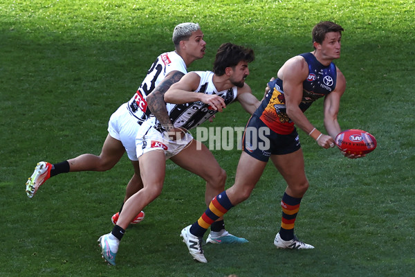 AFL 2024 Round 10 - Collingwood v Kuwarna - A-49468949