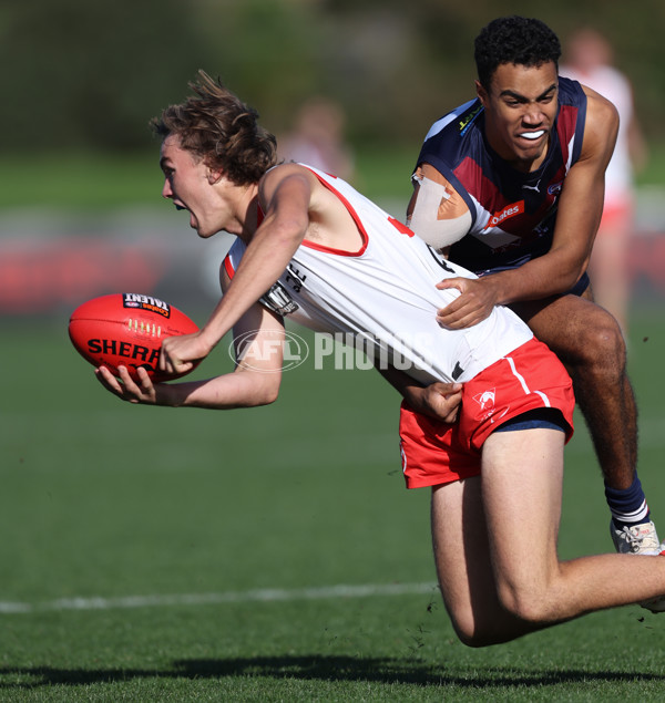 Coates League Boys 2024 Round 08 - Sandringham v Sydney Swans Academy - A-49484746