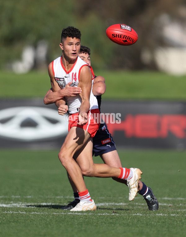 Coates League Boys 2024 Round 08 - Sandringham v Sydney Swans Academy - A-49484779