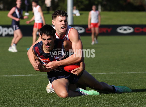 Coates League Boys 2024 Round 08 - Sandringham v Sydney Swans Academy - A-49487107