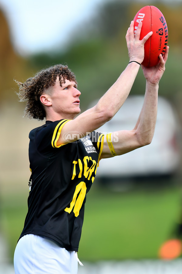 VFL 2024 Round 08 - Sandringham v Richmond - A-49487166