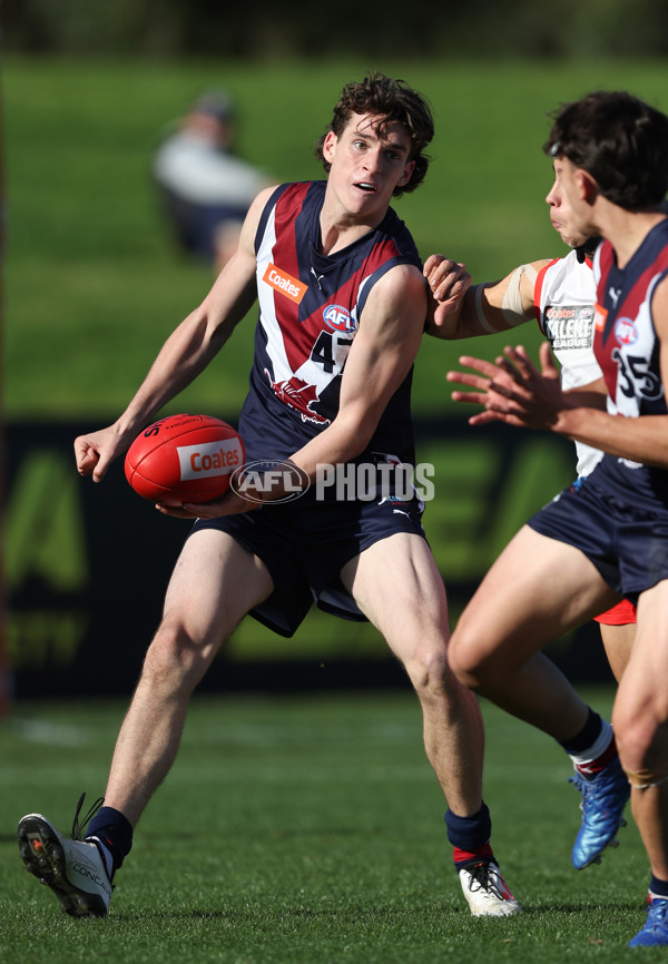 Coates League Boys 2024 Round 08 - Sandringham v Sydney Swans Academy - A-49487273