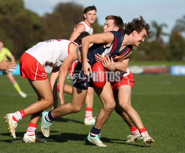 Coates League Boys 2024 Round 08 - Sandringham v Sydney Swans Academy - A-49487311