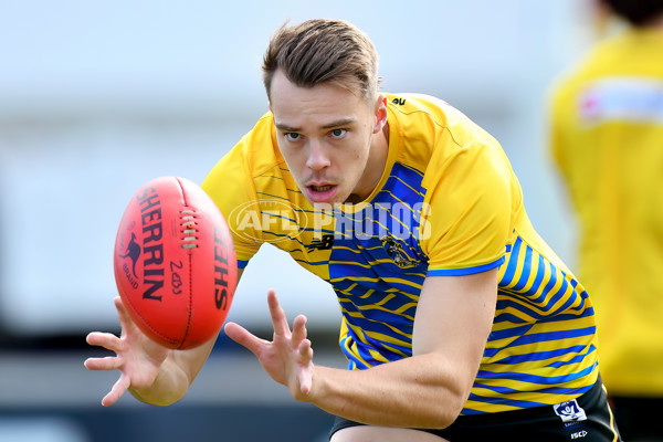 VFL 2024 Round 08 - Sandringham v Richmond - A-49487370