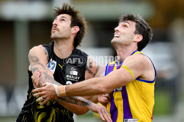 VFL 2024 Round 08 - Sandringham v Richmond - A-49489827