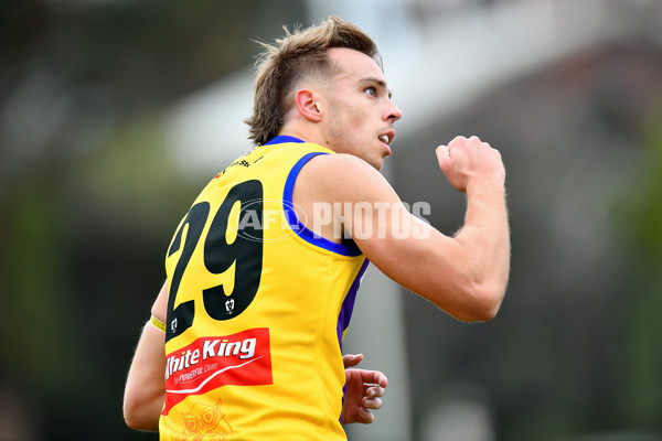 VFL 2024 Round 08 - Sandringham v Richmond - A-49489828