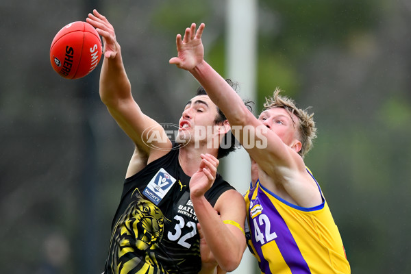 VFL 2024 Round 08 - Sandringham v Richmond - A-49489831