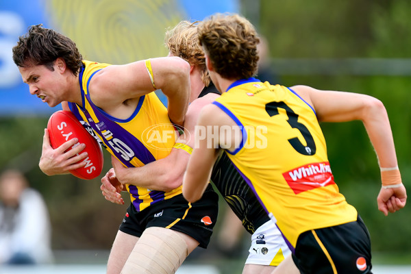 VFL 2024 Round 08 - Sandringham v Richmond - A-49489850