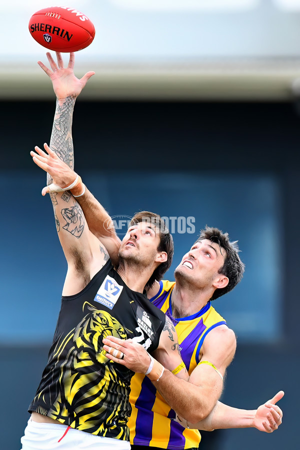 VFL 2024 Round 08 - Sandringham v Richmond - A-49489882