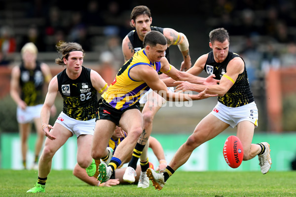 VFL 2024 Round 08 - Sandringham v Richmond - A-49489979