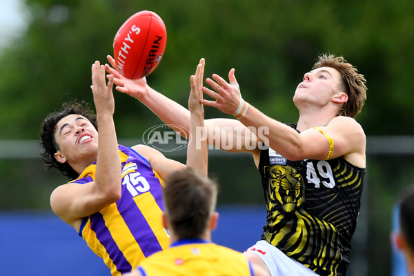 VFL 2024 Round 08 - Sandringham v Richmond - A-49492459