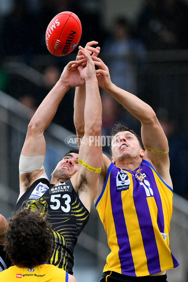 VFL 2024 Round 08 - Sandringham v Richmond - A-49492641