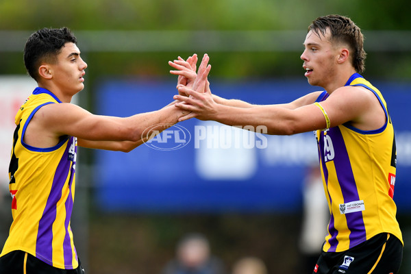 VFL 2024 Round 08 - Sandringham v Richmond - A-49492700