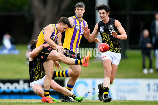 VFL 2024 Round 08 - Sandringham v Richmond - A-49492701