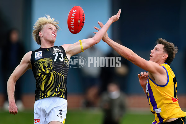 VFL 2024 Round 08 - Sandringham v Richmond - A-49494569