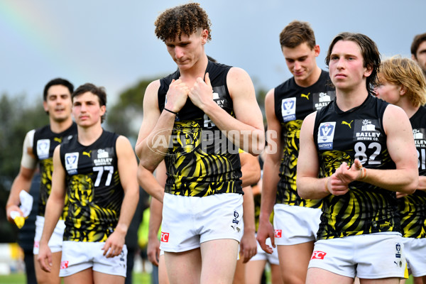 VFL 2024 Round 08 - Sandringham v Richmond - A-49495323