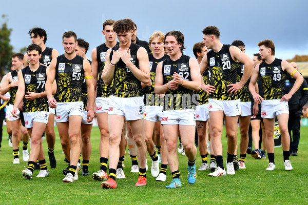 VFL 2024 Round 08 - Sandringham v Richmond - A-49495328