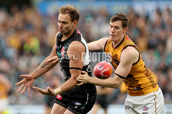 AFL 2024 Round 10 - Yartapuulti v Hawthorn - A-49499945