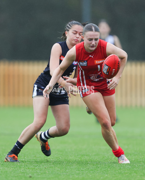 Coates League Girls 2024 Round 07 - Geelong v Gippland - A-49499959