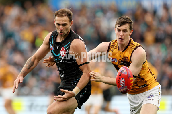 AFL 2024 Round 10 - Yartapuulti v Hawthorn - A-49500248