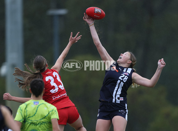 Coates League Girls 2024 Round 07 - Geelong v Gippland - A-49500267