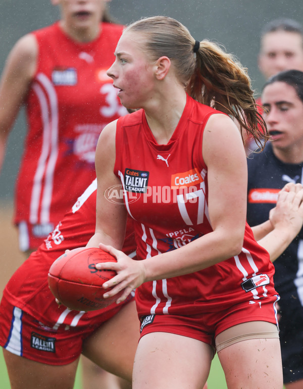 Coates League Girls 2024 Round 07 - Geelong v Gippland - A-49500271