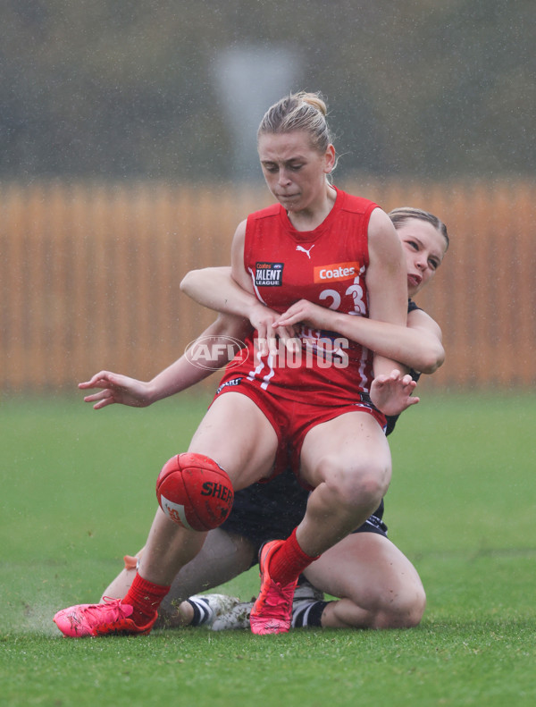 Coates League Girls 2024 Round 07 - Geelong v Gippland - A-49500276