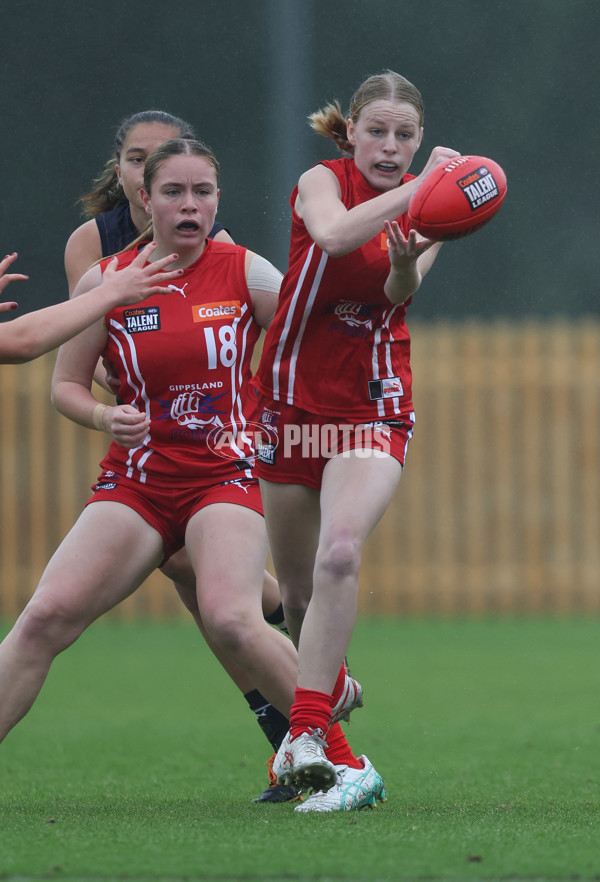 Coates League Girls 2024 Round 07 - Geelong v Gippland - A-49502684