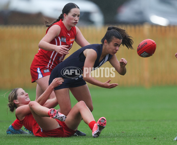 Coates League Girls 2024 Round 07 - Geelong v Gippland - A-49505012