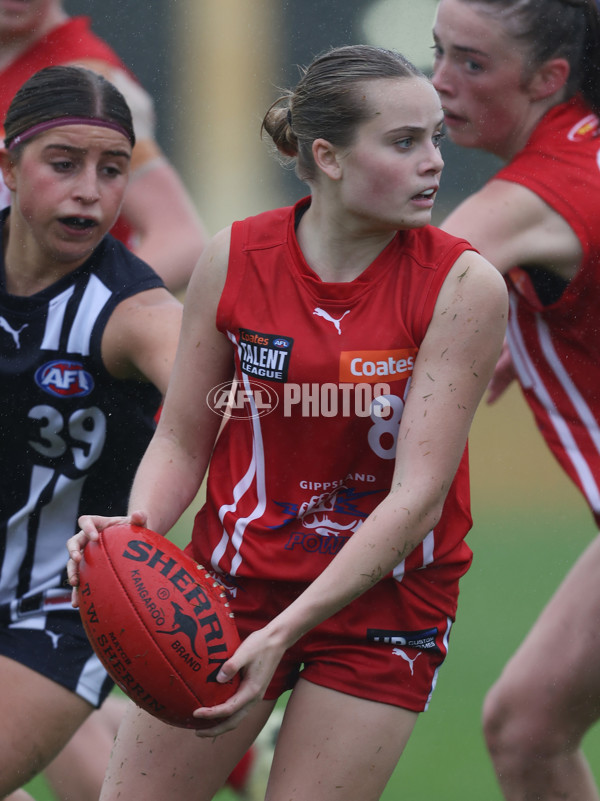 Coates League Girls 2024 Round 07 - Geelong v Gippland - A-49507557