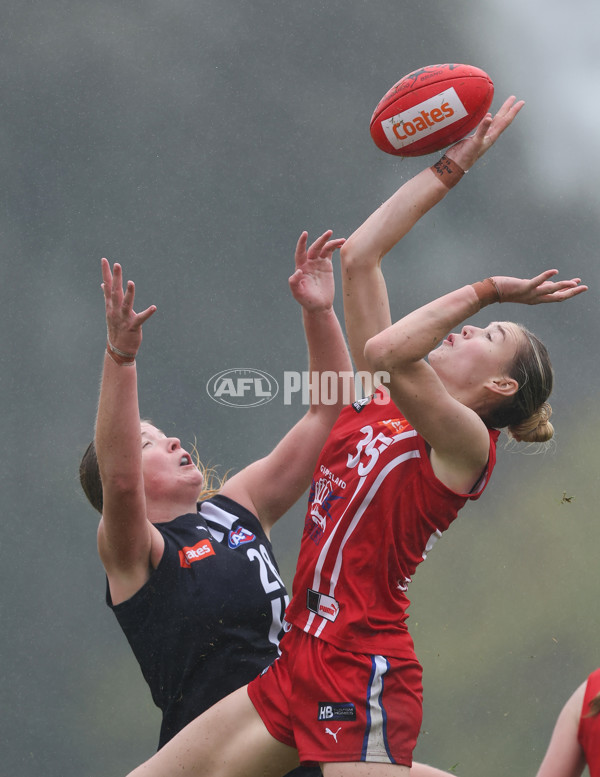 Coates League Girls 2024 Round 07 - Geelong v Gippland - A-49507559