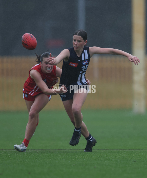 Coates League Girls 2024 Round 07 - Geelong v Gippland - A-49508084