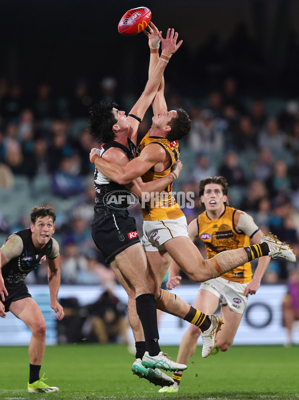 AFL 2024 Round 10 - Yartapuulti v Hawthorn - A-49510883