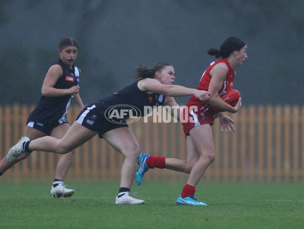 Coates League Girls 2024 Round 07 - Geelong v Gippland - A-49512258