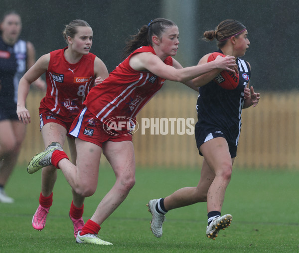 Coates League Girls 2024 Round 07 - Geelong v Gippland - A-49515769