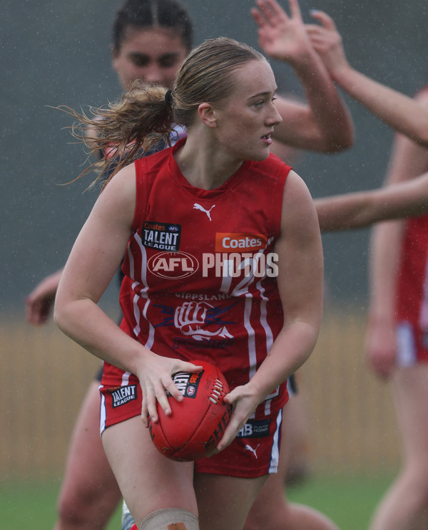 Coates League Girls 2024 Round 07 - Geelong v Gippland - A-49515852