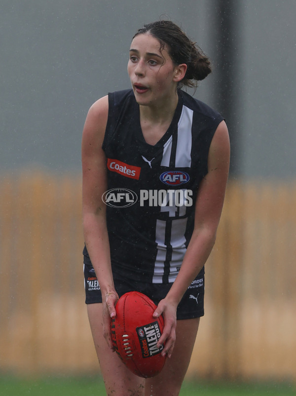 Coates League Girls 2024 Round 07 - Geelong v Gippland - A-49515854