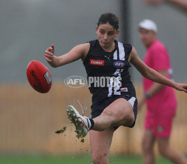 Coates League Girls 2024 Round 07 - Geelong v Gippland - A-49515855