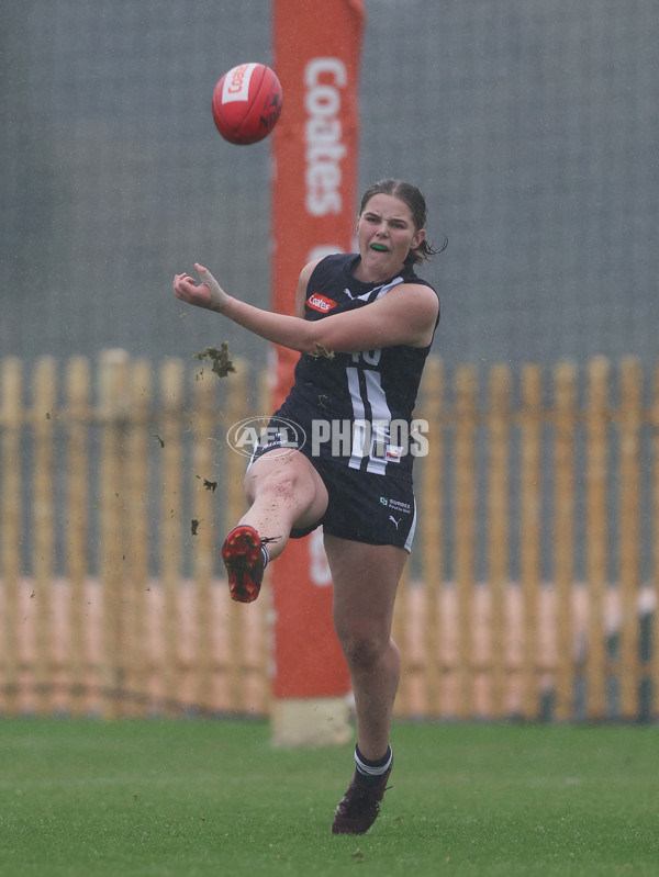 Coates League Girls 2024 Round 07 - Geelong v Gippland - A-49517414