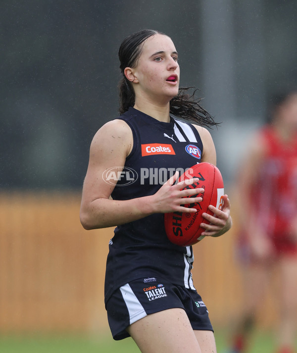 Coates League Girls 2024 Round 07 - Geelong v Gippland - A-49518548